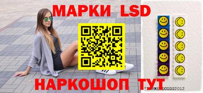 шишки Донской