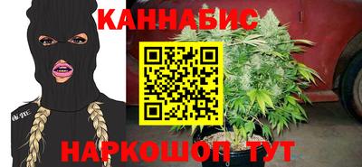 шишки Донской