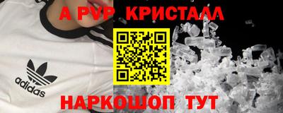 шишки Донской