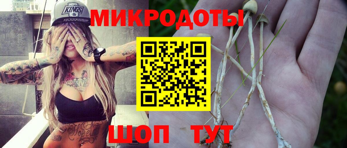 Псилоцибиновые грибы Psilocybine cubensis  Псилоцибиновые грибы MAGIC MUSHROOMS  Вход с VPN  где купить наркоту  Нальчик 